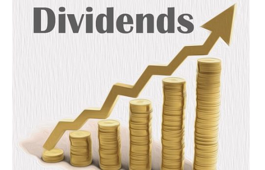 দুই বিমা কোম্পানির লভ্যাংশ ঘোষণা