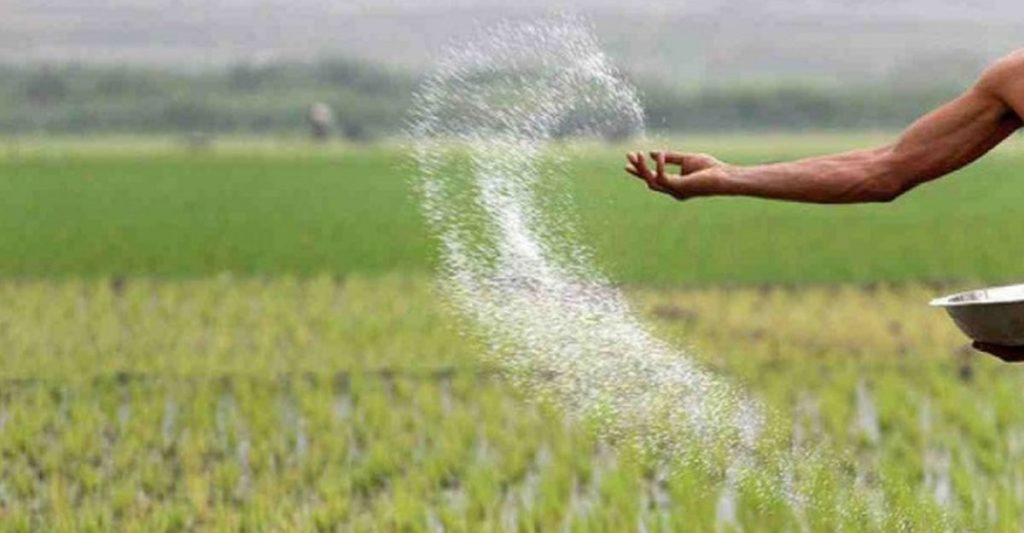 ৯০০ কোটি টাকা ব্যয়ে দুই লাখ ৩০ হাজার টন সার কিনবে সরকার