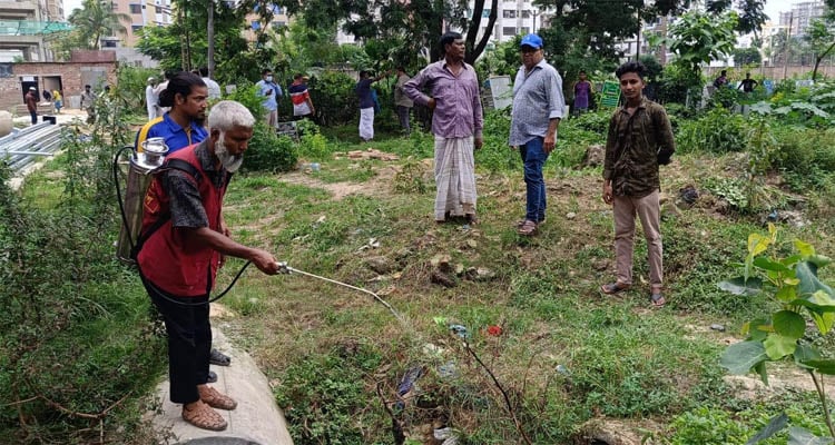 এডিসের লার্ভা পাওয়ায় ১৩ স্থাপনাকে জরিমানা