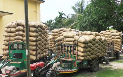 নন-বাসমতী চাল রফতানির অনুমতি দিল ভারত