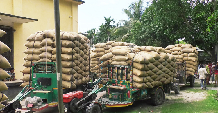 নন-বাসমতী চাল রফতানির অনুমতি দিল ভারত