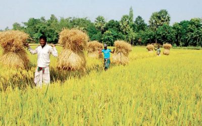 জুলাইয়ে দুই হাজার কোটি টাকার কৃষি ঋণ