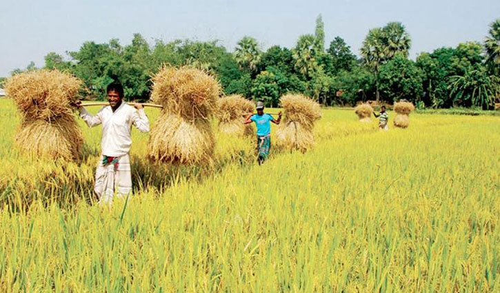 জুলাইয়ে দুই হাজার কোটি টাকার কৃষি ঋণ