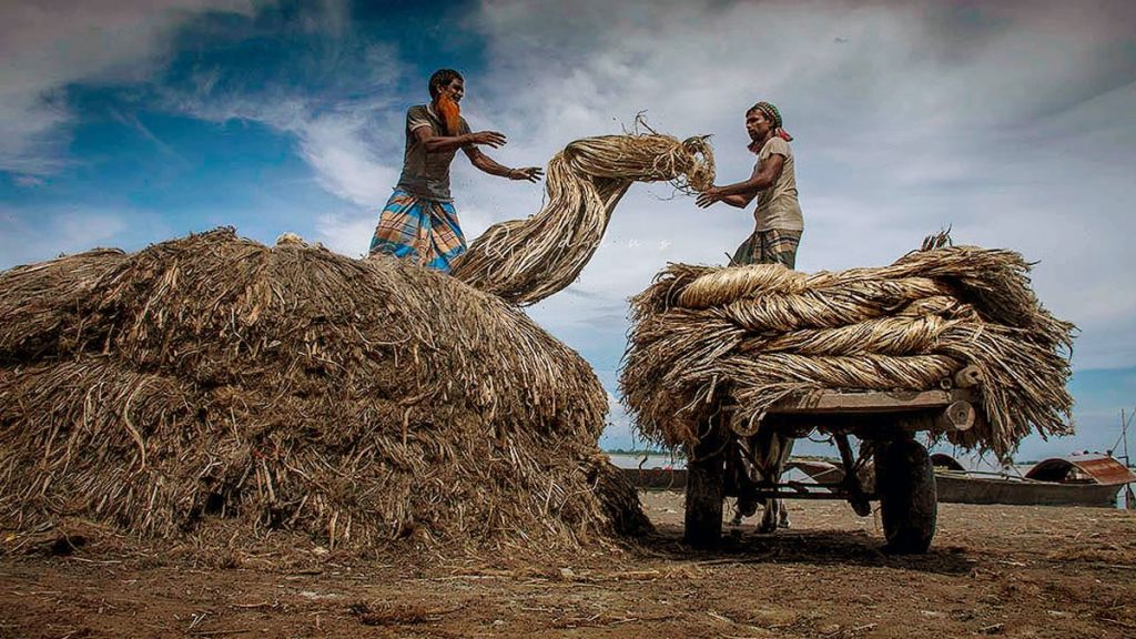 পাট শিল্পে করছাড় আরও ৩ বছর বাড়ানো হয়েছে