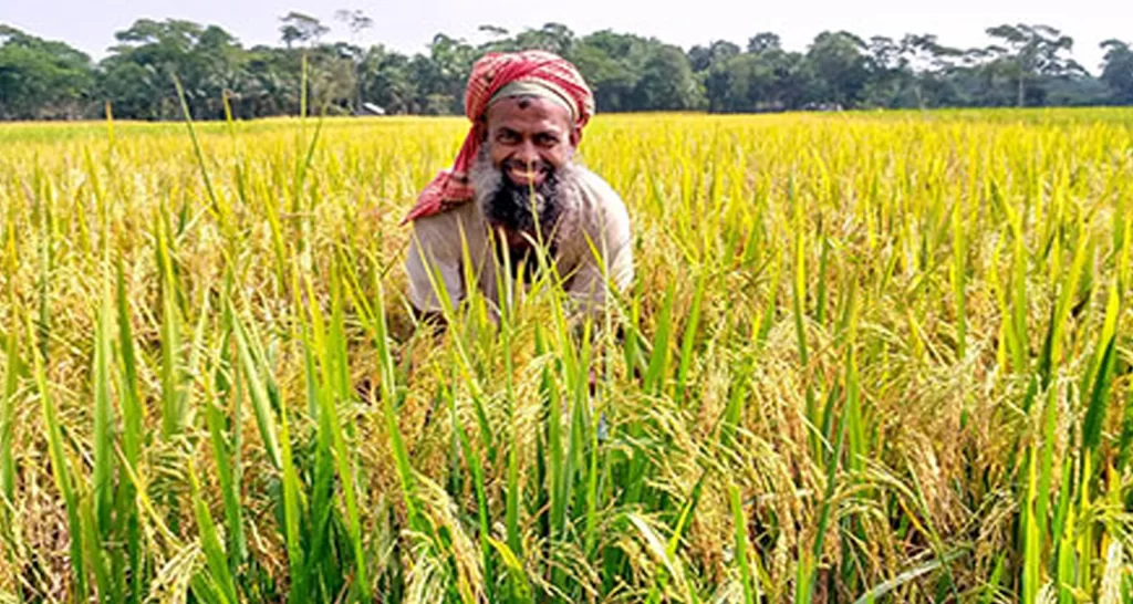 ৫ মাসে কৃষি ঋণ বিতরণ সাড়ে ১৪ হাজার কোটি টাকা