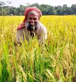 কৃষি-গ্রামীণ অর্থনীতি চাঙা করতে ১০ হাজার কোটি টাকা বরাদ্দ