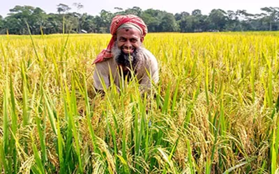 ৫ মাসে কৃষি ঋণ বিতরণ সাড়ে ১৪ হাজার কোটি টাকা