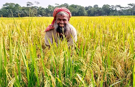 কৃষি-গ্রামীণ অর্থনীতি চাঙা করতে ১০ হাজার কোটি টাকা বরাদ্দ