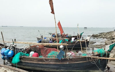 মধ্যরাত থেকে মেঘনায় সব ধরনের মাছ ধরায় নিষেধাজ্ঞা