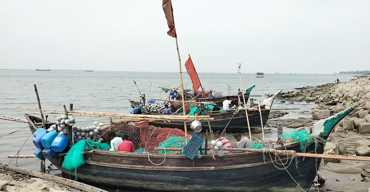 মধ্যরাত থেকে মেঘনায় সব ধরনের মাছ ধরায় নিষেধাজ্ঞা