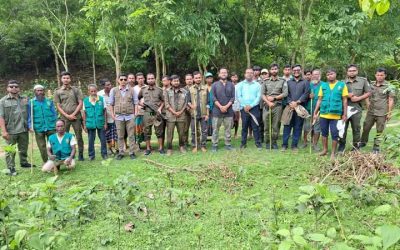 শ্রীবরদীতে বন বিভাগের অভিযানে গুঁড়িয়ে দেওয়া হলো অবৈধ ৩০ সবজি বাগান