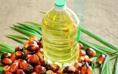 প্রতি লিটার ১৬২.১৯ টাকা দরে পাম অয়েল কিনবে সরকার