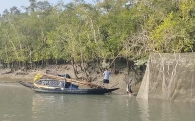 ১লা জুন থেকে সুন্দরবনে প্রবেশ ৩ মাসের নিষেধাজ্ঞা