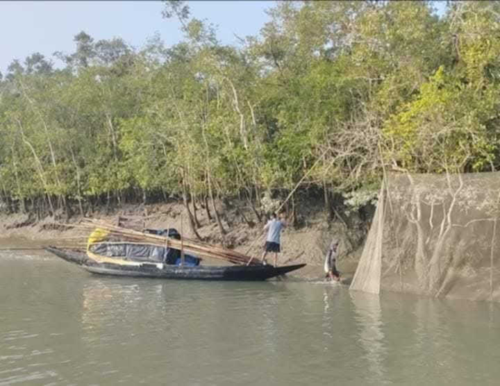 ১লা জুন থেকে সুন্দরবনে প্রবেশ ৩ মাসের নিষেধাজ্ঞা