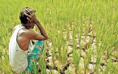 বাজেটে কৃষির হিস্যা বাড়াতে হবে : সেমিনারে বক্তারা