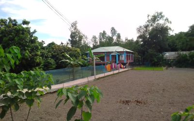 লালমনিরহাটে পরিকল্পনাহীন নগরায়ণের ছোবলে ফুরিয়ে যাচ্ছে কৃষি জমি