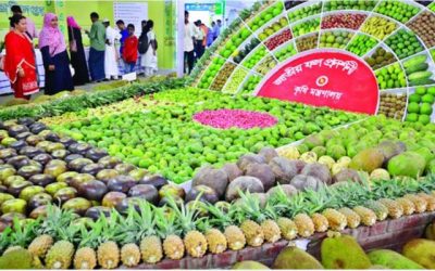 রাজধানীতে ফল মেলা শুরু বৃহস্পতিবার