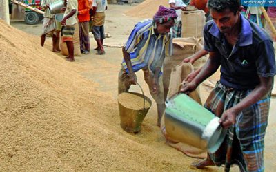 চলতি বোরো মৌসুমে চট্টগ্রামে ২৮ হাজার ৩৮০ মেট্রিক টন ধান সংগ্রহ