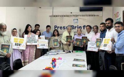 খেলনায় বিপজ্জনক মাত্রার সীসা: স্বাস্থ্যঝুঁকিতে শিশুরা