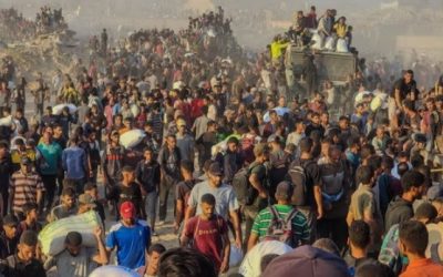 গাজায় ত্রাণের অপেক্ষায় থাকা ৬৭ ফিলিস্তিনি নিহত, জাতিসংঘের খাদ্যবহরেও হামলা