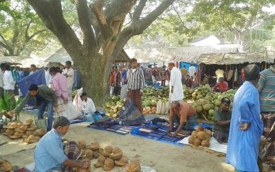 ঢাকায় ব্যক্তি মালিকানাধীন হাট-বাজারের লাইসেন্স নিতে হবে