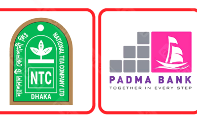 পদ্মা ব্যাংকে আটকে আছে ন্যাশনাল টি কোম্পানির ১৯ কোটি টাকা