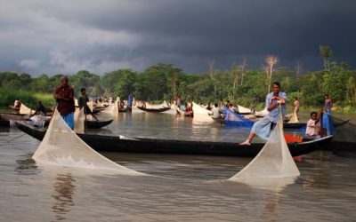 হালদা নদীকে ‘মৎস্য হেরিটেজ’ এলাকা ঘোষণা
