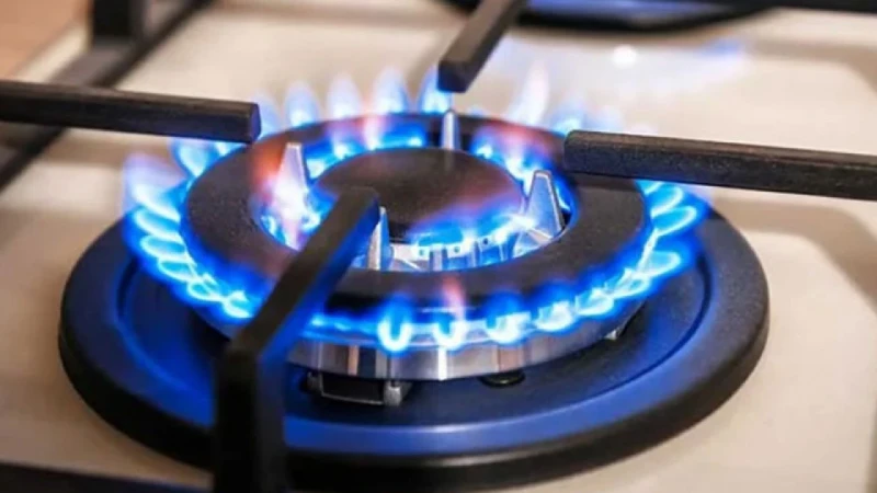 গ্যাসের অবৈধ ব্যবহার রোধে নতুন অধ্যাদেশ জারি