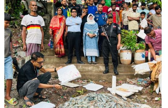 নরসিংদীতে চিংড়িতে জেলি পুশ: পাইকারি ব্যবসায়ীকে অর্থদণ্ড, ১২৩ কেজি মাছ ধ্বংস