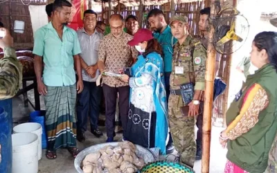 অস্বাস্থ্যকর পরিবেশে ফুচকা তৈরি, চট্টগ্রামে তিন প্রতিষ্ঠানকে জরিমানা