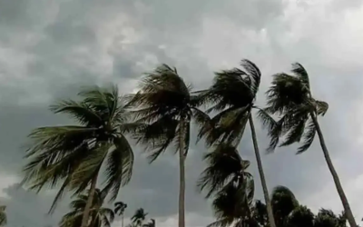 দুপুরের মধ্যে চার অঞ্চলে ঝড়ের আভাস, নদীবন্দরে সতর্কতা