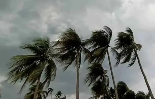 দুপুরের মধ্যে চার অঞ্চলে ঝড়ের আভাস, নদীবন্দরে সতর্কতা