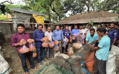 সিংড়ায় ২০ লাখ টাকার অবৈধ চায়না দুয়ারি জাল জব্দ, একজনের কারাদণ্ড
