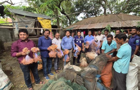 সিংড়ায় ২০ লাখ টাকার অবৈধ চায়না দুয়ারি জাল জব্দ, একজনের কারাদণ্ড