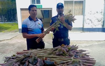 নিজস্ব বাগানের তাজা ডাটা শাক কর্মচারীদের মাঝে বিতরণ: স্বনির্ভরতায় অনন্য উদ্যোগ দিনাজপুর জেলা কারাগারের