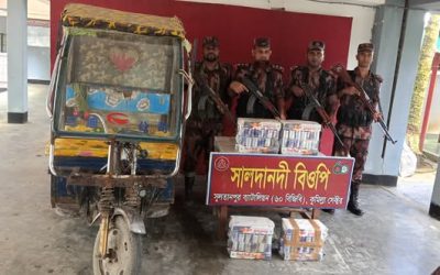 সুলতানপুর সীমান্তে ২৫ লাখ টাকার ভারতীয় চোরাচালান পণ্য জব্দ