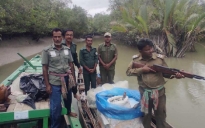 সুন্দরবন রক্ষায় বন বিভাগ ও সিপিজির যৌথ অভিযান: বিষযুক্ত ২০ কেজি চিংড়ি, নৌকা ও জাল জব্দ