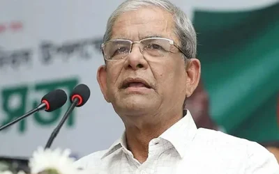 আওয়ামী লীগের ধ্বংস করা দেশ গড়ে তুলছে বিএনপি: স্থানীয় সরকার মন্ত্রী