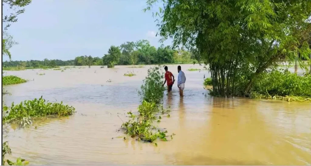 বন্যা পরিস্থিতি মোকাবিলায় স্বাস্থ্য অধিদপ্তরের জরুরি ৭ নির্দেশনা
