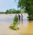 বন্যা পরিস্থিতি মোকাবিলায় স্বাস্থ্য অধিদপ্তরের জরুরি ৭ নির্দেশনা
