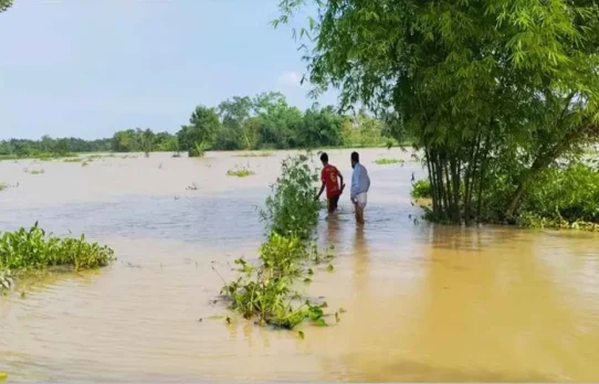 বন্যা পরিস্থিতি মোকাবিলায় স্বাস্থ্য অধিদপ্তরের জরুরি ৭ নির্দেশনা
