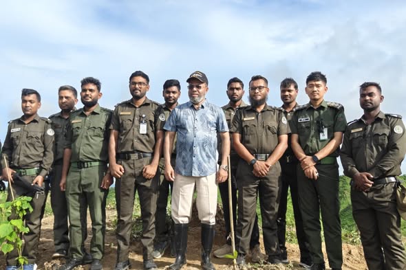 টেকনাফের সংরক্ষিত বনে ৪০ হেক্টরে নতুন বাগান, চারা রোপণ করলেন পরিবেশ প্রতিমন্ত্রী