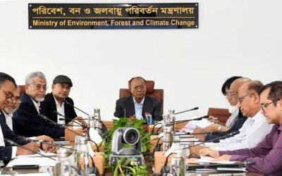পরিবেশবান্ধব ব্লকের ব্যবহার বাড়ানো হবে: পরিবেশমন্ত্রী
