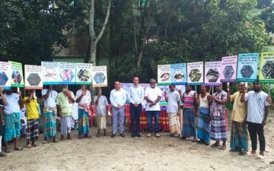 ব্রাহ্মণবাড়িয়ায় জাতীয় মৎস্য পক্ষ উপলক্ষে মৎস্যজীবীদের ক্রীড়া ও সচেতনতামূলক কার্যক্রম