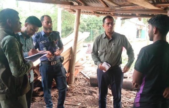 কাহালুতে অবৈধ করাতকলে ভ্রাম্যমাণ আদালতের অভিযান, ১০ হাজার টাকা জরিমানা