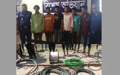 মীরসরাই ইকোনমিক জোনে ডাকাতির ঘটনায় গ্রেপ্তার ৭