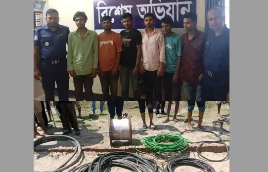 মীরসরাই ইকোনমিক জোনে ডাকাতির ঘটনায় গ্রেপ্তার ৭