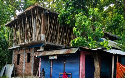 বনজমি দখলে নেপথ্যে অর্থ লেনদেন, ৭০ লাখ টাকা হাতিয়ে নেওয়ার দাবি স্থানীয়দের
