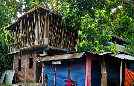 বনজমি দখলে নেপথ্যে অর্থ লেনদেন, ৭০ লাখ টাকা হাতিয়ে নেওয়ার দাবি স্থানীয়দের