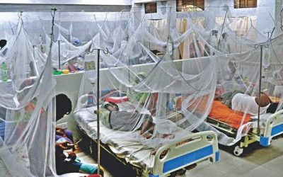 খুলনা বিভাগে এক দিনে রেকর্ড ৩৩৪ ডেঙ্গু রোগী হাসপাতালে ভর্তি
